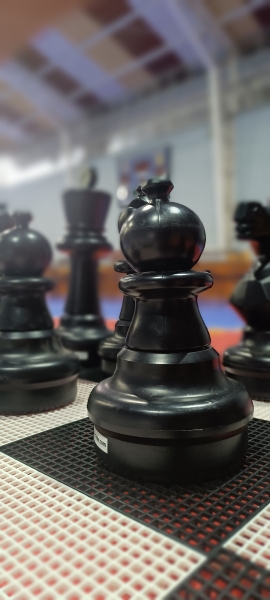 Día de las Matemáticas 2025